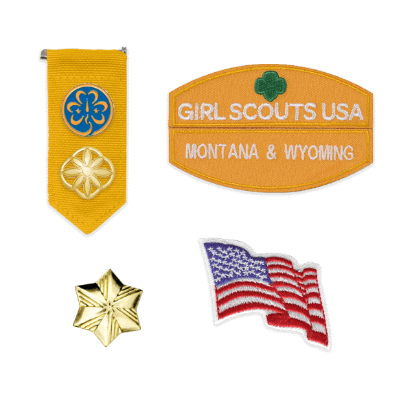 Girl Scout Daisy select insignia