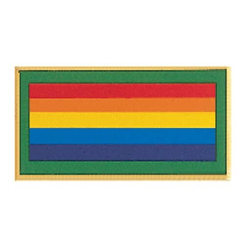 Bridge To Adult Girl Scouts Award