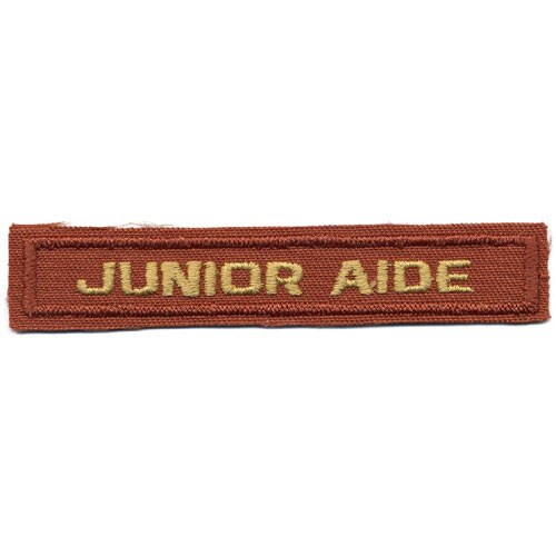 Get to Know the Junior Aide Award – All Things Girl Scouts