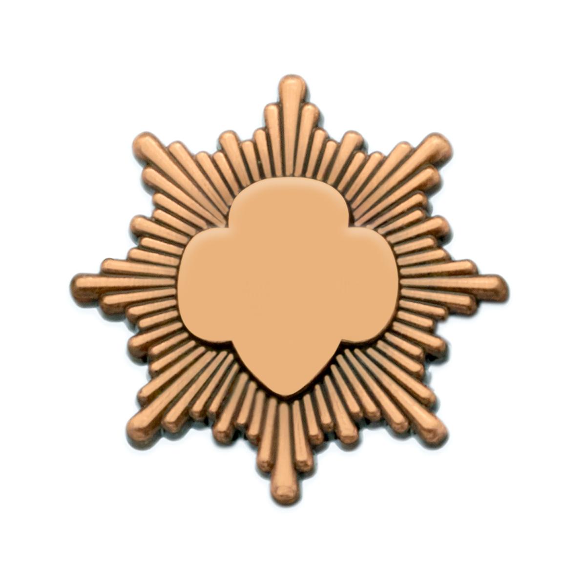 Gold Award Pin