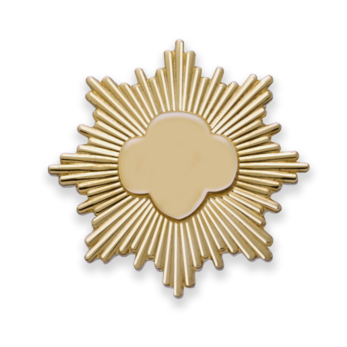 Gold Award Pin