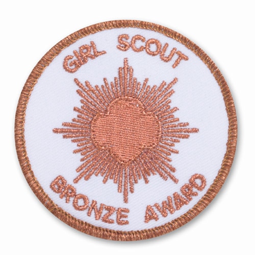 Gold Award Pin