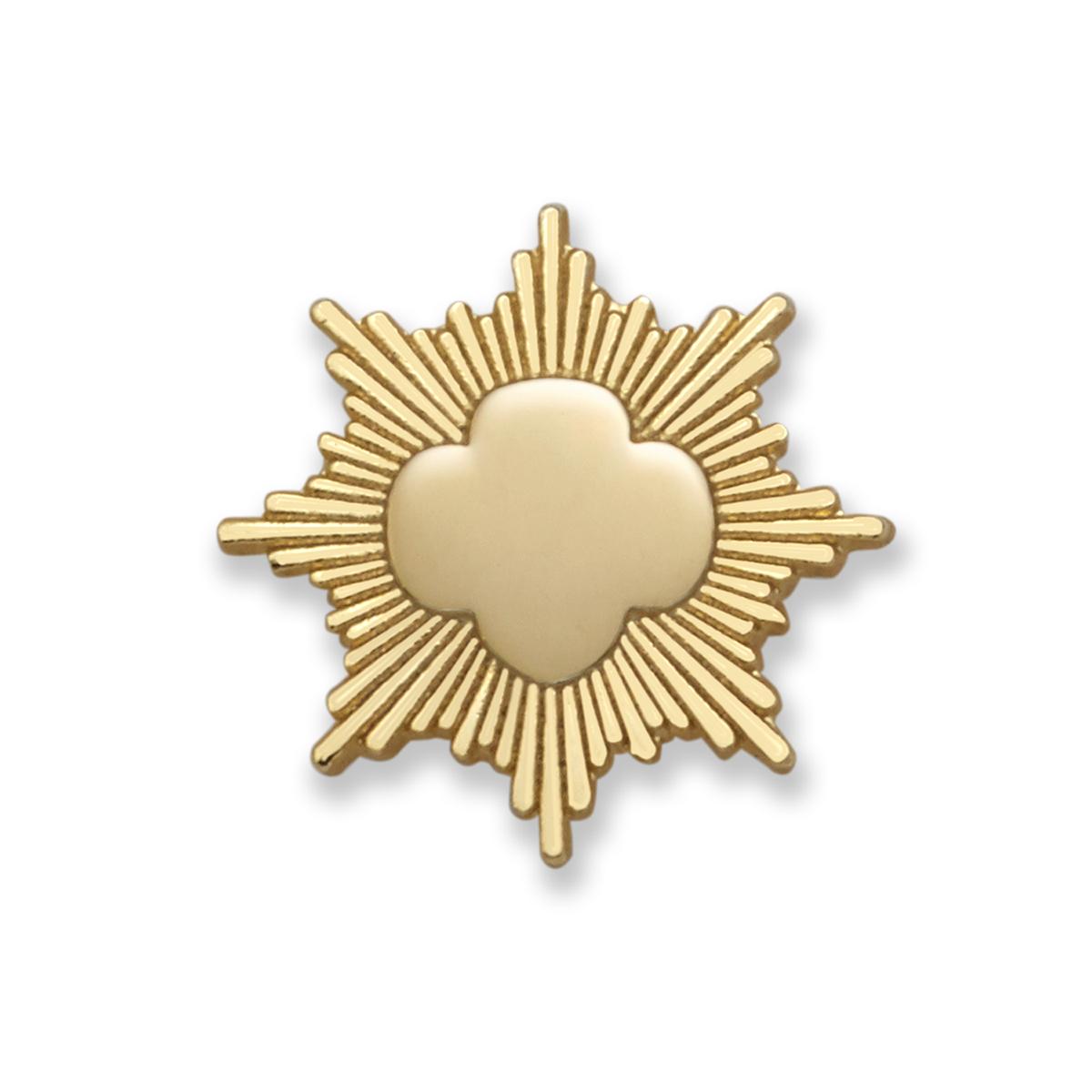 Gold Award Pin