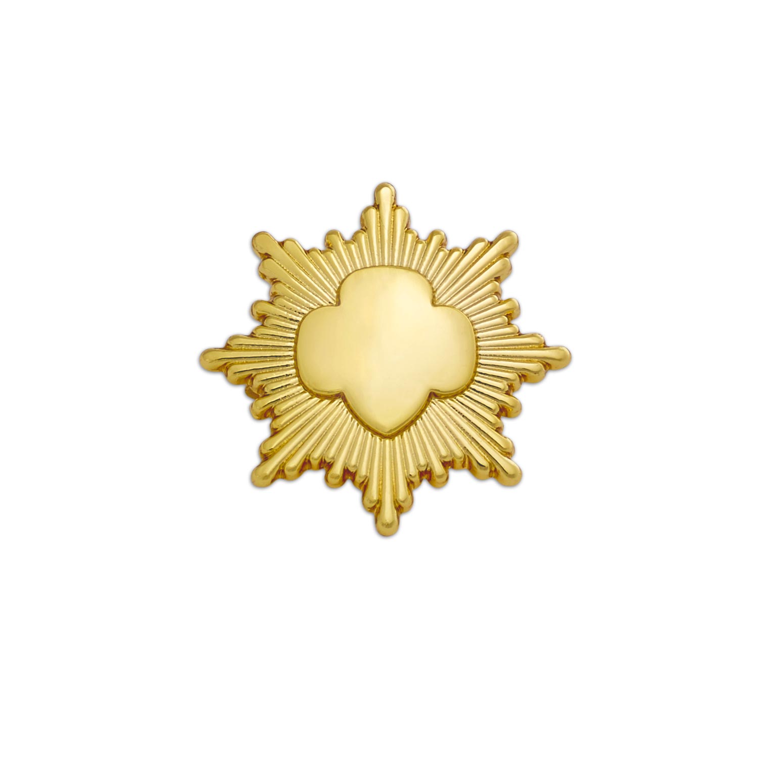 Gold Award Pin