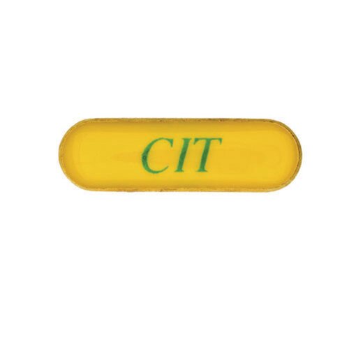 GSGWM Old CIT Pin | Girl Scout Shop
