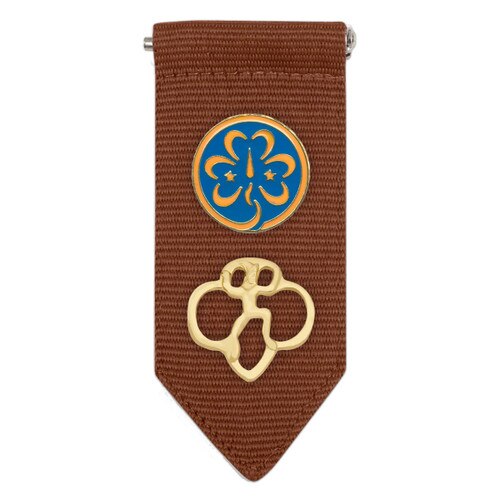 Girl Scout Brownie Insignia Tab | Girl Scout Shop