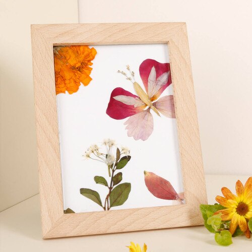 Huckleberry DIY Pressed Flower Kit