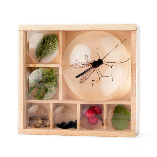 Huckleberry Bug Box Kit