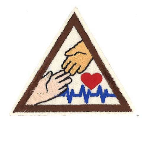 GSCB Nurses Exploration Brownie Bad