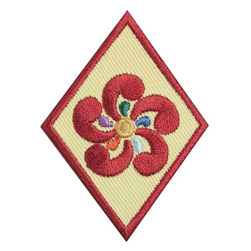 GSOH Cadette Entrepreneur Badge- Re