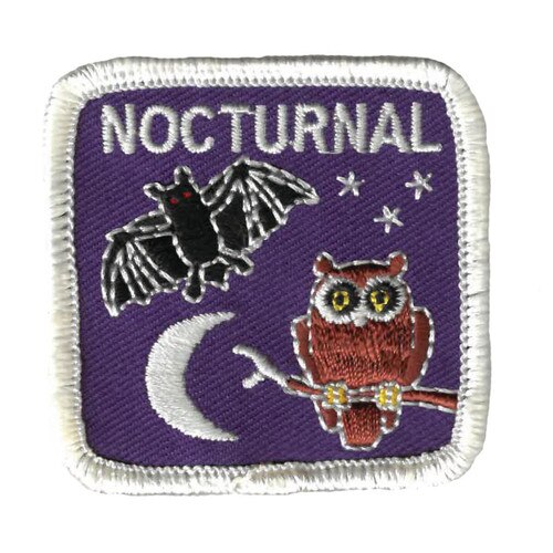 GSWPA Nocturnal Iron-On Fun Patch