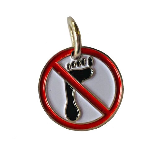 GSCCC Leave No Trace Charm