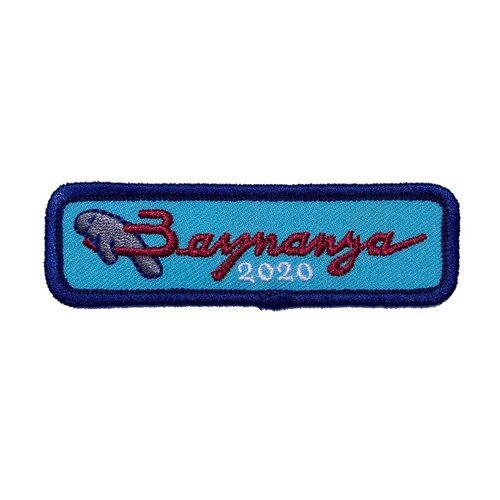 GSTF Baynanza 2020 Strip Patch