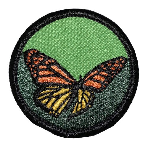 GSSEF Butterflies