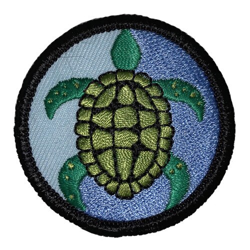 GSSEF Girl Scouts Love Sea Turtles