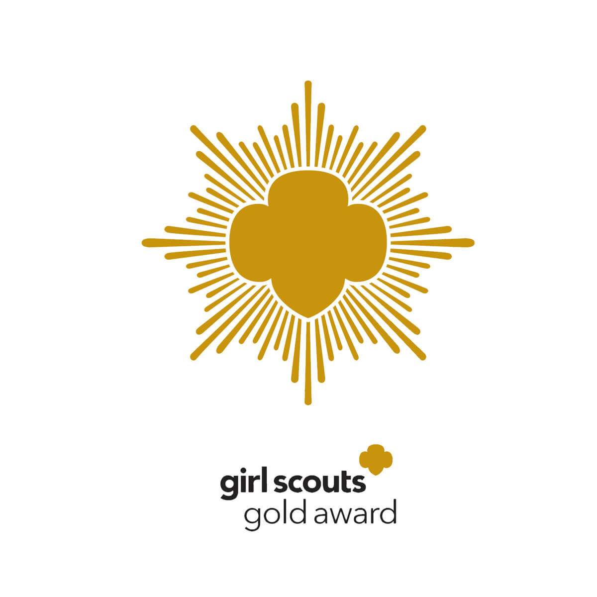 Spotlight On Girl Scout Gold Award Recipients Girl Scout, 43 OFF
