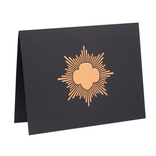 Bronze Award Certificate Holder Pkg