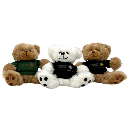 GSCP2P Award Bears