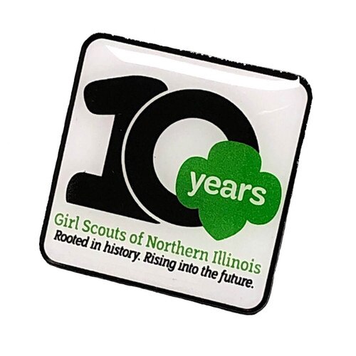 GSNI 10th Anniversary Pin