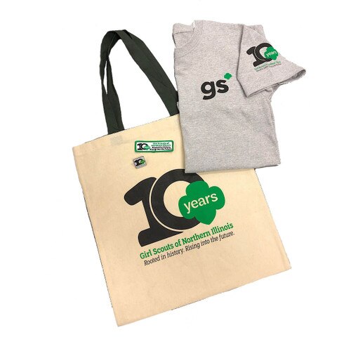 GSNI 10th Anniversary Pin