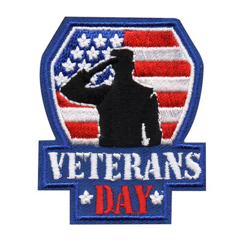 GSNI Veterans Day (Soldier Salute)