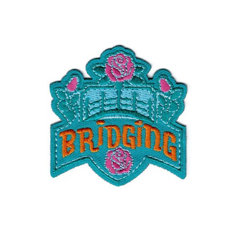 GSNI Bridging Fun Patch