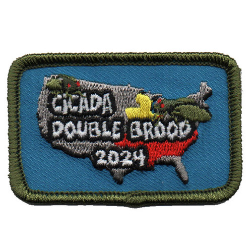 GSNI 2024 Cicada Double Brood Fun P