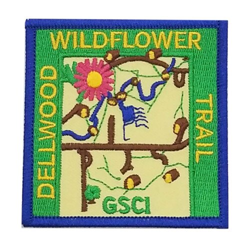 GSCI Camp Dellwood Wildflower Patch