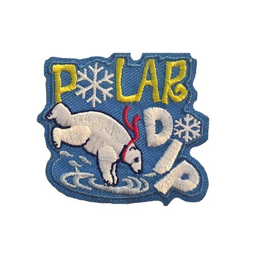 GSMWLP Polar Dip Fun Patch