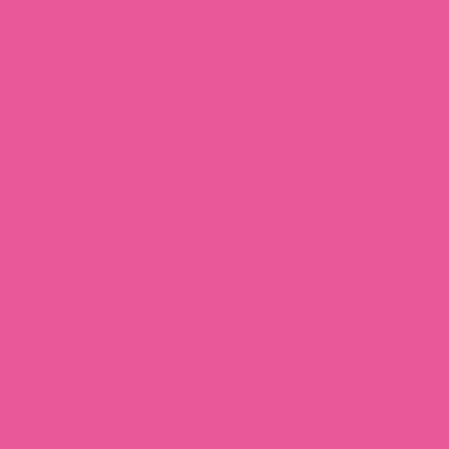 Nash Ball Point Click Pen Pink