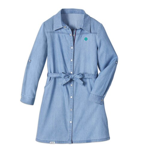 belted chambray shirt dress