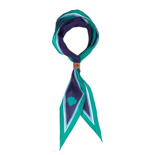 junior scarf and woggle