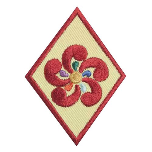 GSNETX Cadette Entreprenuer Retired