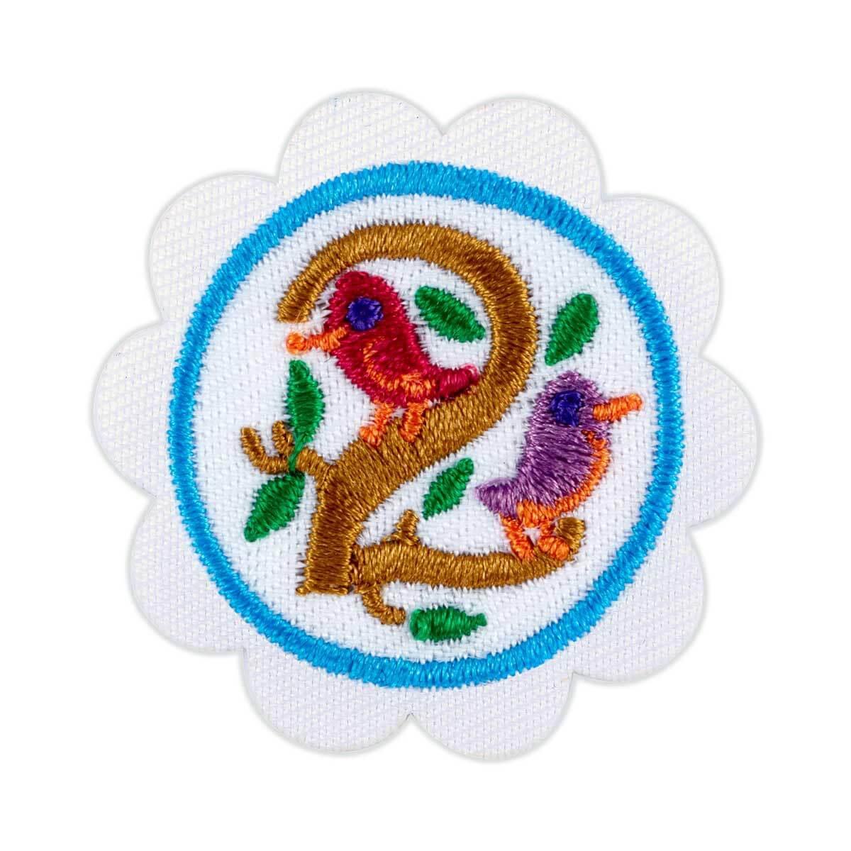 Girl Scout STEM Badges | Girl Scout Shop