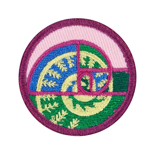 junior shapes in nature badge