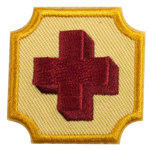 Ambassador First Aid Badge Girl Scout Shop