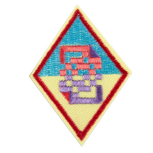 Cadette Cybersecurity Basics Badge