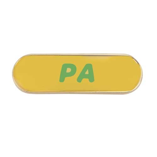 Cadette Gs Program Aide Award Cpa Girl Scout Shop Cadette Gs Program Aide Award Cpa Girl Scout Shop