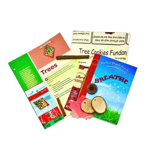 GSHCC Cadette Trees Badge in a Box