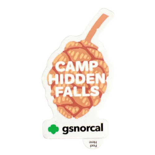 GSNorCal Camp Hidden Falls Vinyl St