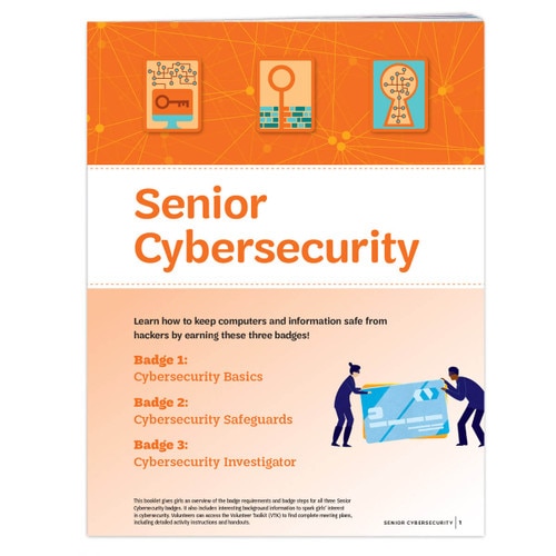 Senior Cybersecurity Requirements