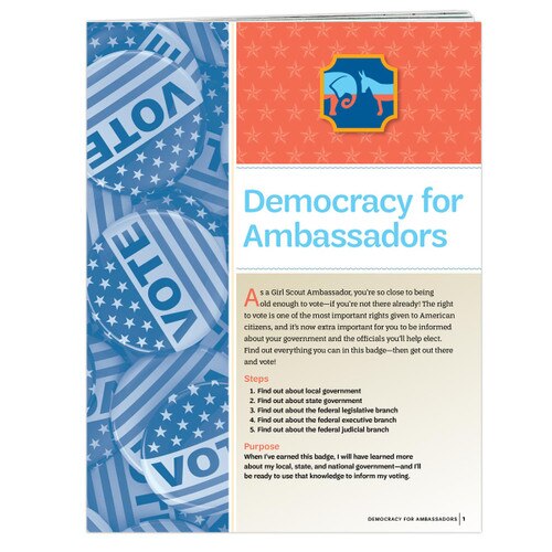 Democracy for Ambassadors