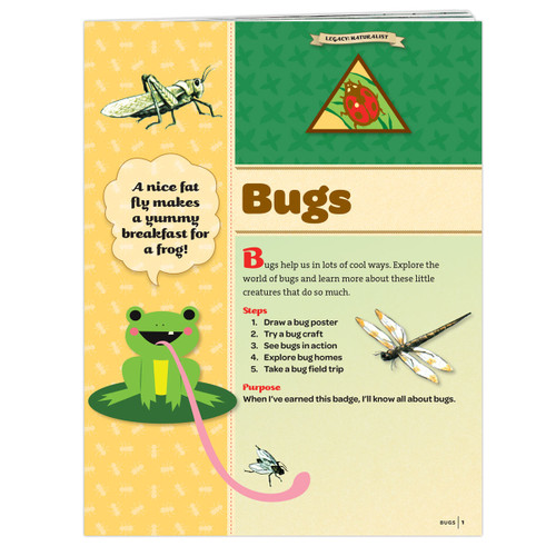 Brownie Bugs Badge Requirement
