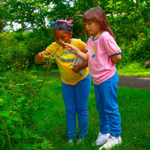 Daisy Shapes in Nature Badge Requirements Girl Scout Shop