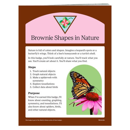 Brownie Shapes in Nature