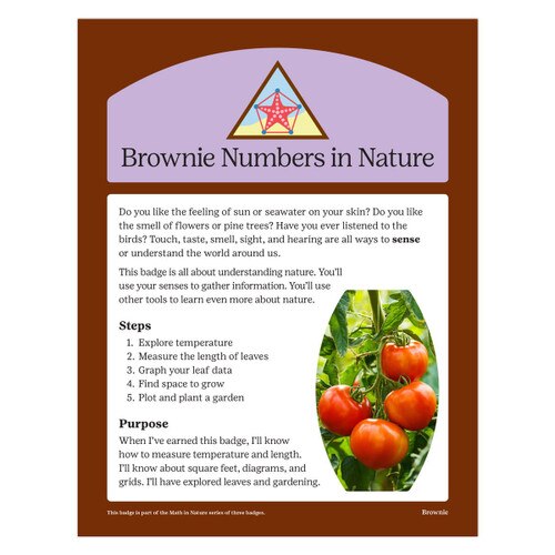 Brownie Numbers in Nature Digital Badge Requirements