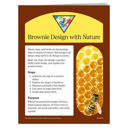 brownie design badge requirements