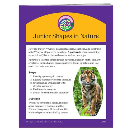 junior shapes in nature requirement
