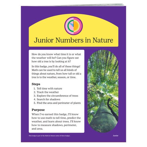 junior numbers badge requirements