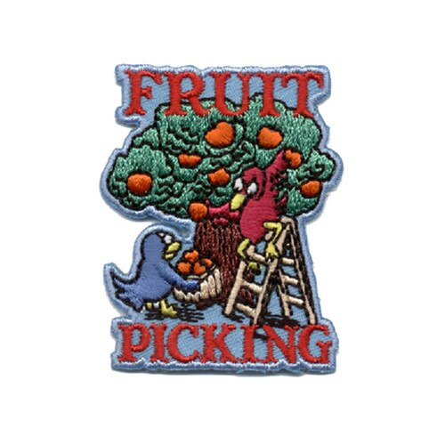 GSOSW Fruit Picking Fun Patch